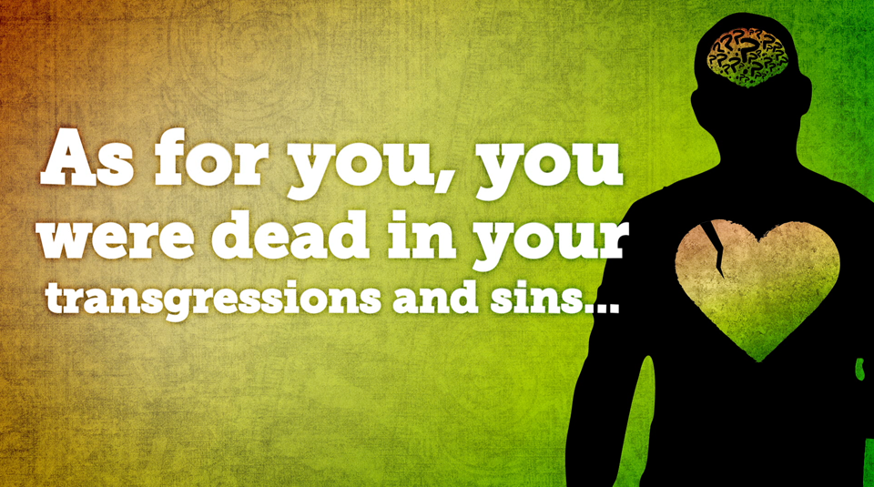 YM360 Visual Scripture